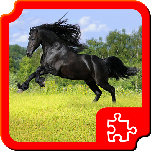 Beautiful Horses Puzzles ejsKVqFiafAGe2PiGJDwW1Pwhdx_frdpqTKL5o4aiJWPtiL6QlggPyyKAw18BZDv3A