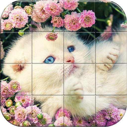 Tile Puzzle Cats CPGErKT_2NJxuEUT5eBbpcAqQv4rsrAonmathV35lFXbN5Va1ayf_4T43C8w3s8onQ