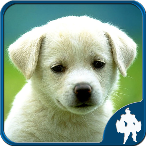Animal Jigsaw Puzzles SgoHG35oXYqu9tewbD2_HrBkud-HvHXB7-_6RLGoLrL_oPUL9u5_MIBmP0ojm-d88w