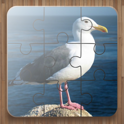 Bird Puzzle Games VnYXV8M_N0A5HBc_6WRAd2n0n0hOdBHiQ3nrBOtLoYoa_BqXJnR5-7zX74L0nQOKwXQ