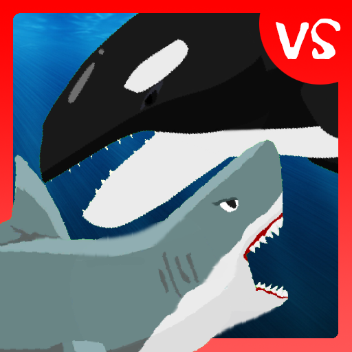 Shark Fights Killer Whale 3Fbw94fku6Lq5eJ6ruXX5TwIV3_LcR-4DxvBsvOVU1yG3MDxHftzTEZ_AzWd7uKRcYA