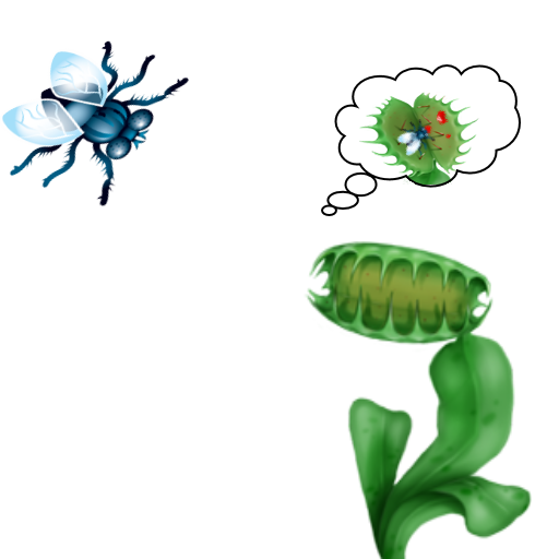 Flytrap jzt3LdzgMOB2FtRVAKUcExcyeRjPsu8F2lshhMinmlAx-W1oMk5Nh0oCsKCmokFDrGk