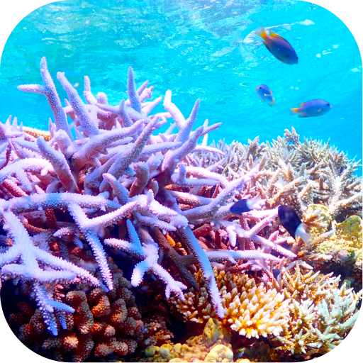 Blue for life:Pick up garbage TeDWMYUYbKlY-OAv9EJH7orqLUzkwkAC5HcCeseaD-nI6iMOxF37v2ckb4lbB5YWqQ