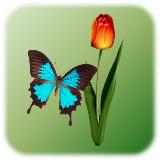 Butterfly Tap G9ZCj0Hslu-6D2T8F5OAdKyadll577mpV2xyY1Mp22iEU9t5a3MVT7JidfEUNHR-xFRT