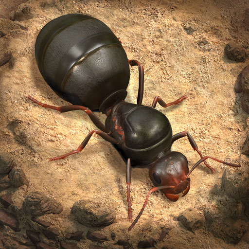 The Ants: Underground Kingdom icon The Ants: Underground Kingdom icon