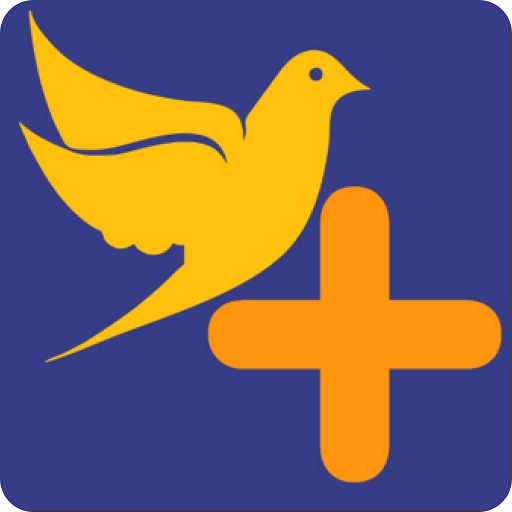 Paloma + PsLvS0IXVTIAtta4S9_k21N8XUGOp0PUXyVXuUdLDOaUSl9VfYyC9NEAf9kG7sw9jw