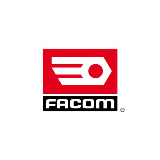 Facom – SCANDIAG eHhB5DIjcagXc3yCtI8uUQ_pa-02nsxQayfkCC7Vr1qYTyx0AkY_tArElM_rRAe26xKu