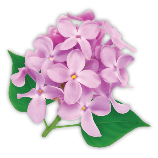 Lilac Car Wash j7_0bpdVELXNKhd_VT2rNZm_UQv6nrWOnc17ombSvUKs_GsBw1cxuY4HH-oG2ZLgNAA