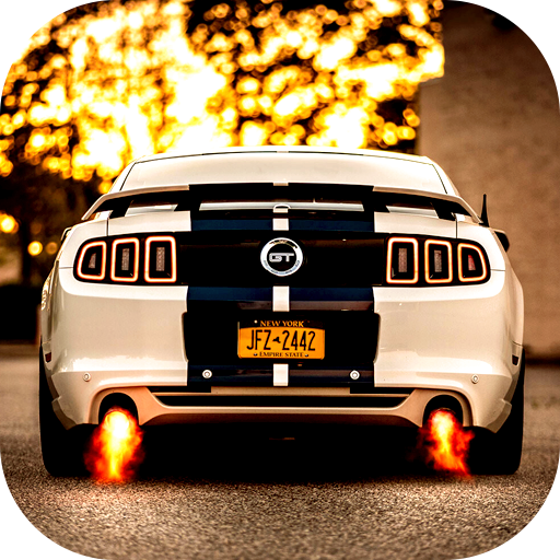 Ford Mustang Wallpapers elNoOGmOoUb0dAjs07pdK2W977u9kCCDaBFplfUDtNVwjXIn0Kl87PT4Q6vfhR_Y9-KV