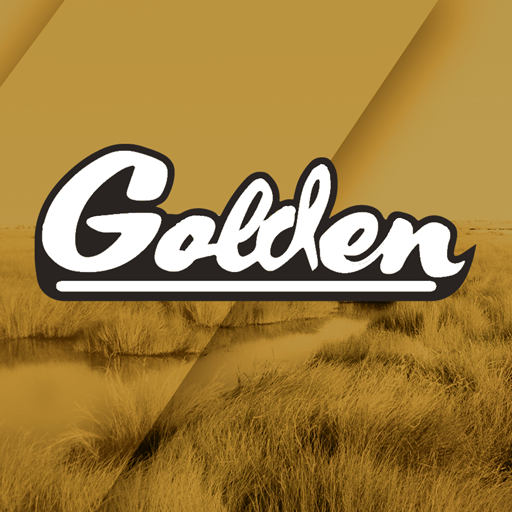 Golden Motors INSRZ9PjU1aQ0uFhRIfdnL9-QQqsJmzrbg0WKMlXl78RtLACUAR96Yh3VW8d1SNIDw