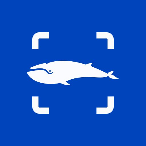 Finwhale® NlTHIKYV2ODwVeFGUvytQ3PNj8VHKqd-XxTGRYnVn0wMbkU6fvl4K1SNv65jor2_kw