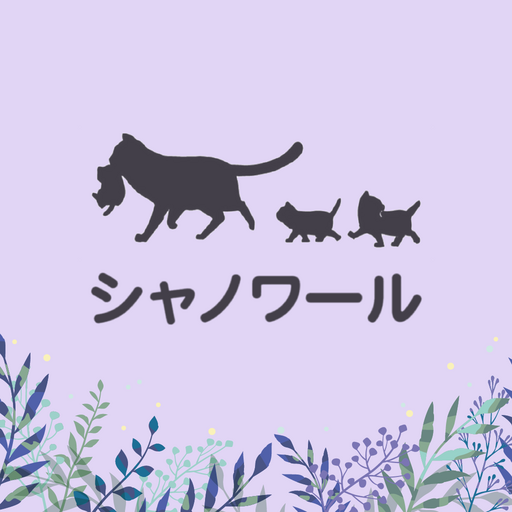 【chat-noir】カイロ&エステ QPEssFAH_PFMuLcliH9DsL5eMRPScGMOWKpasRcA318mJI0uvh5ufp6v_qNMuybEZws