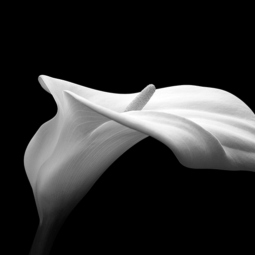 Studio 170 bLtRz-BjZZkb_s8FXop4fTzuyLBEJrf014_4nQM83MZf03rZHkRKcIlpc8_xH0fWiQ