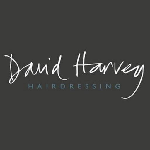 David Harvey Hairdressing 8MSxk5xbnUn05Z5oGNhVCaEIHNzJDTVKC3dtkiMS_7RnTR_ib_COy_gLnYi5DJZRaw