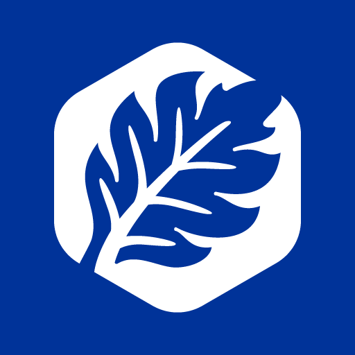 DKE Easy Connected CGyS4iKAWX_Z3beSrlo_oolV_KknA3LDm93GibzfcfG9DFqUJQNWkJE_8ynGUsTIog