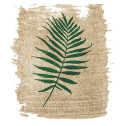 ספא תמר tLCDJ8CYMDYor4AVABs5I1uB2gi7FK3mjNqxT0LROgrwU6BrQRcGOqARXHDh0vTFaomU